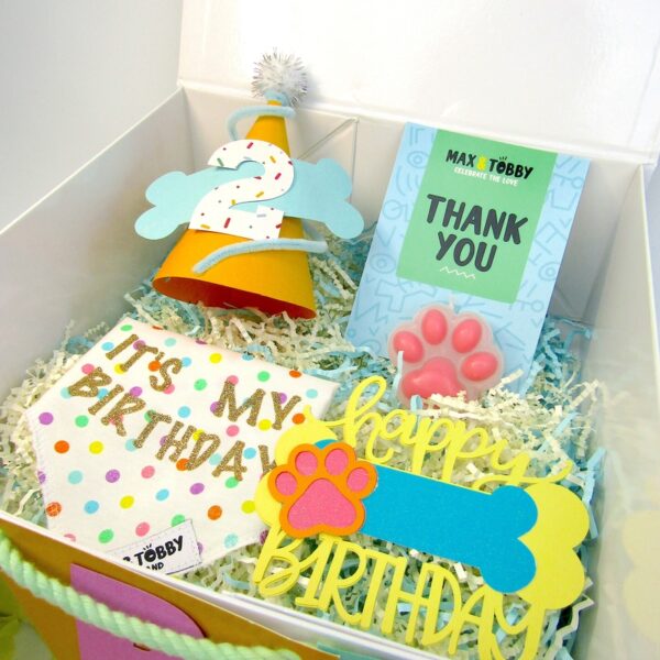 The Pawty Starter - Image 3